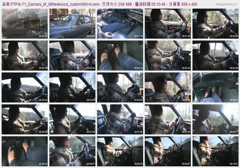 ptpdr-71_Damara_bf_86fleetwood_custom090